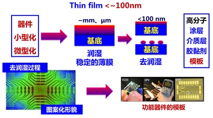 复杂高分子薄膜稳定性及结构形成动力学