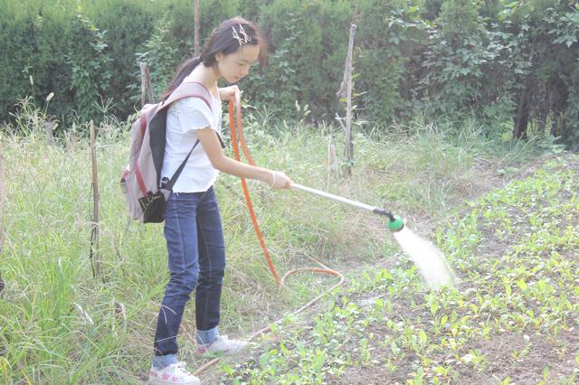 义工联盟同学施洒化肥