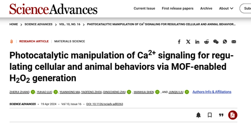 Science Advance:光催化激活神经Ca2+信号和调控动物行为