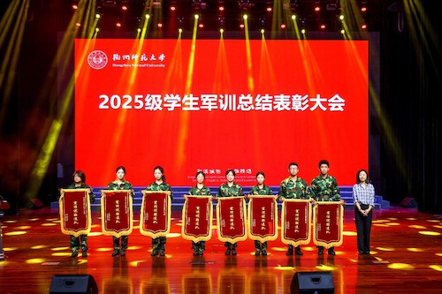 图片6